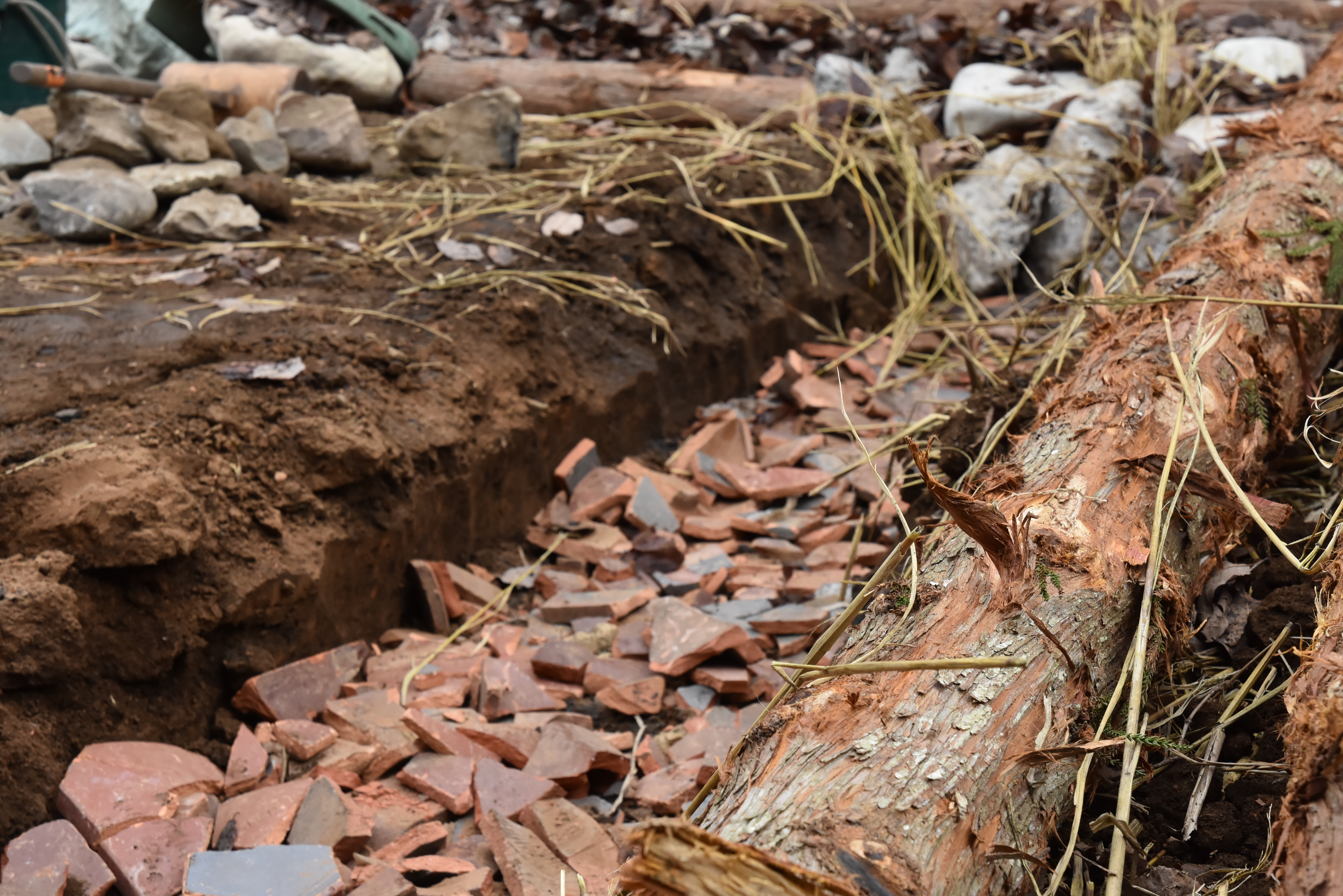 経営情報誌「日経ESG」に当社の取り組みが掲載されました