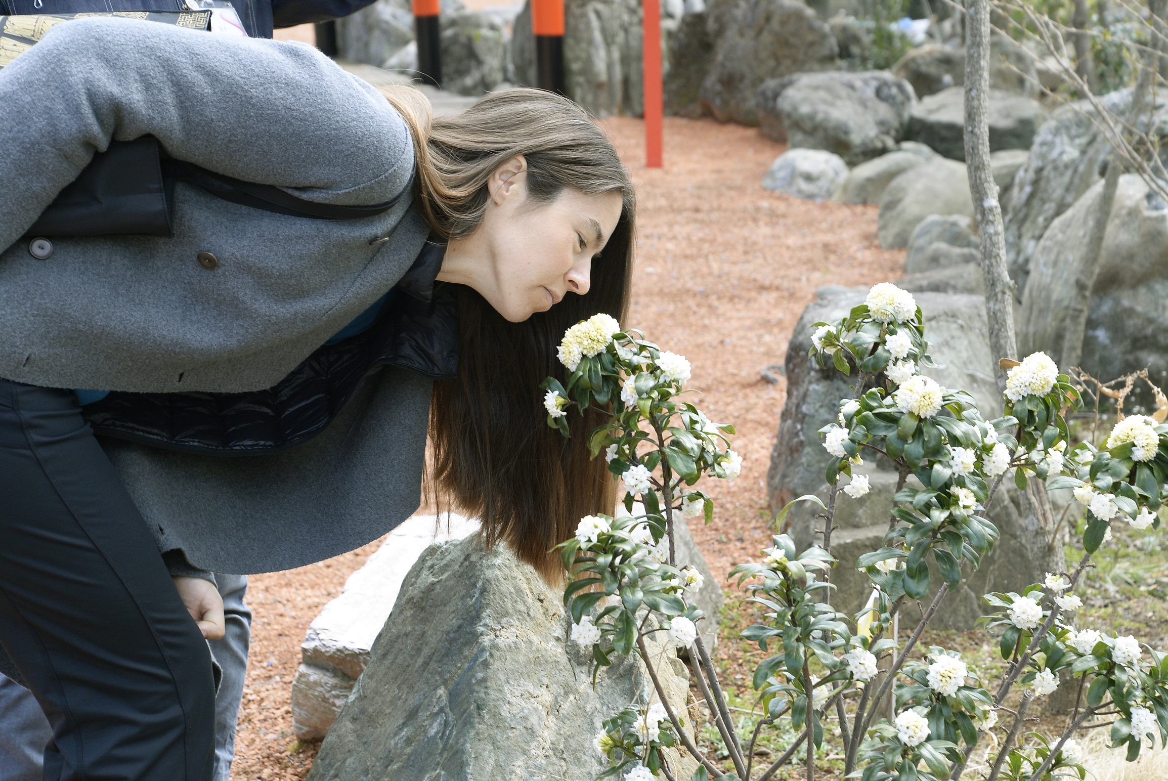 世界の海を手漕ぎボートで旅する女性船長が石坂産業に来社されました