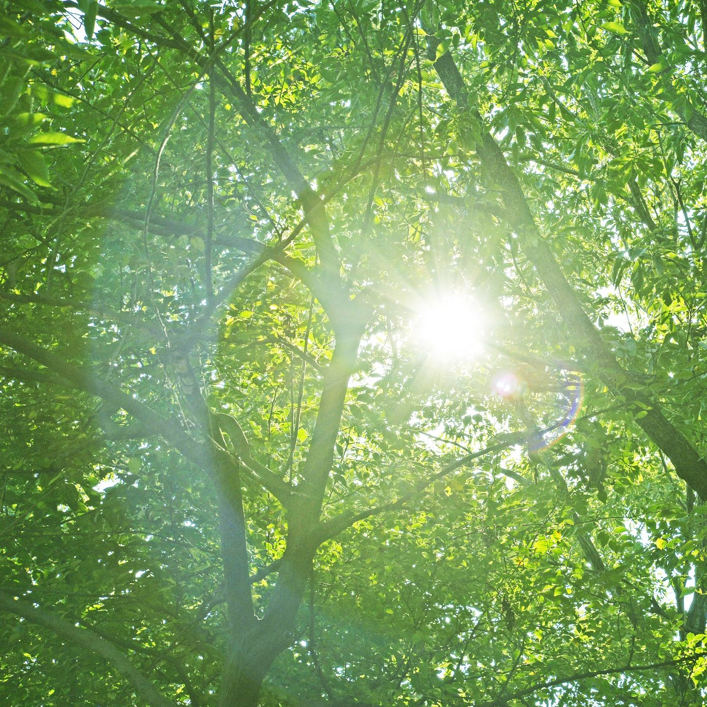 ゴールデンウィーク休業のお知らせ