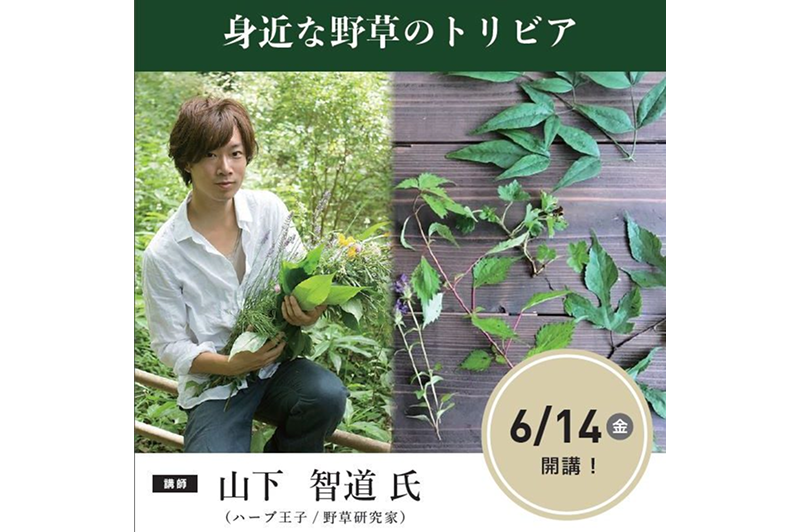 6/14(金)　石坂技塾 特別公開講座「身近な野草のトリビア」参加者募集！