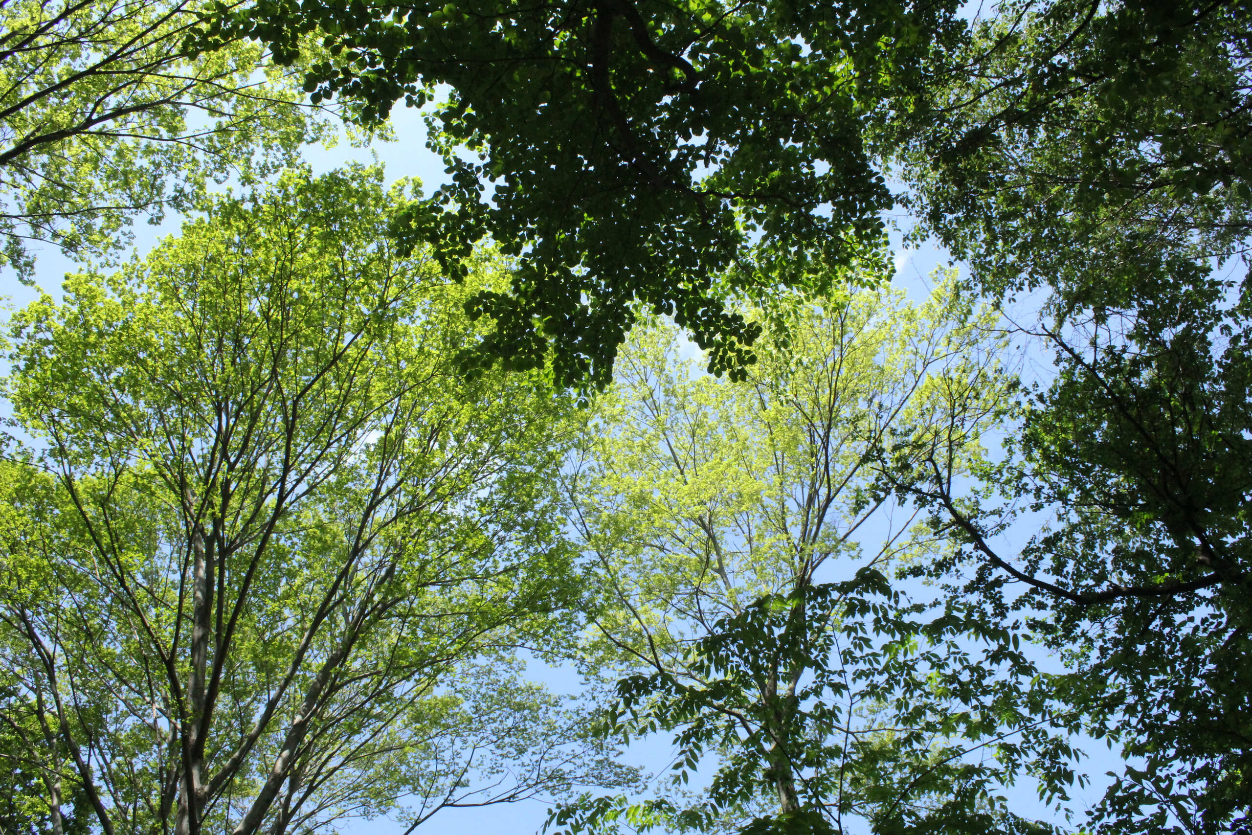 ゴールデンウィーク休業のお知らせ