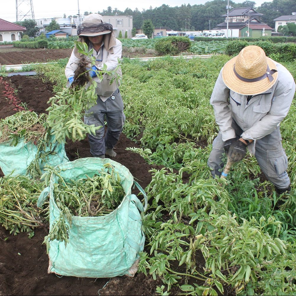 日刊工業新聞で石坂ファームの取り組みが紹介されました