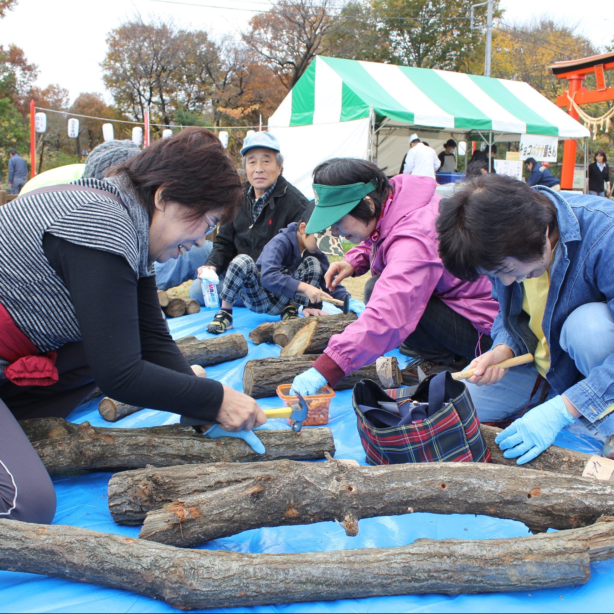 2/25 ボランティア清掃&落ち葉掃き体験&しいたけ植菌体験　参加者募集!!!