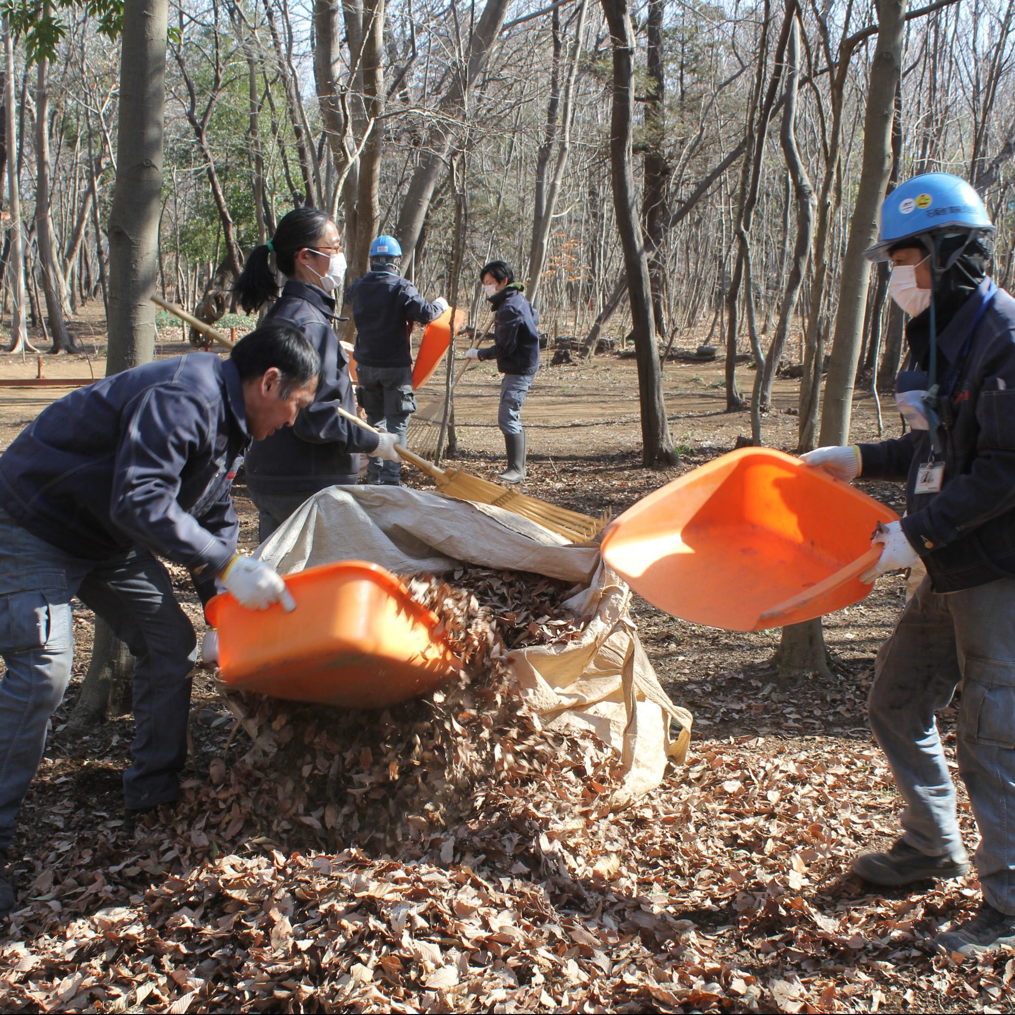 平成最後のごみゼロ運動＆落ち葉かきを実施しました