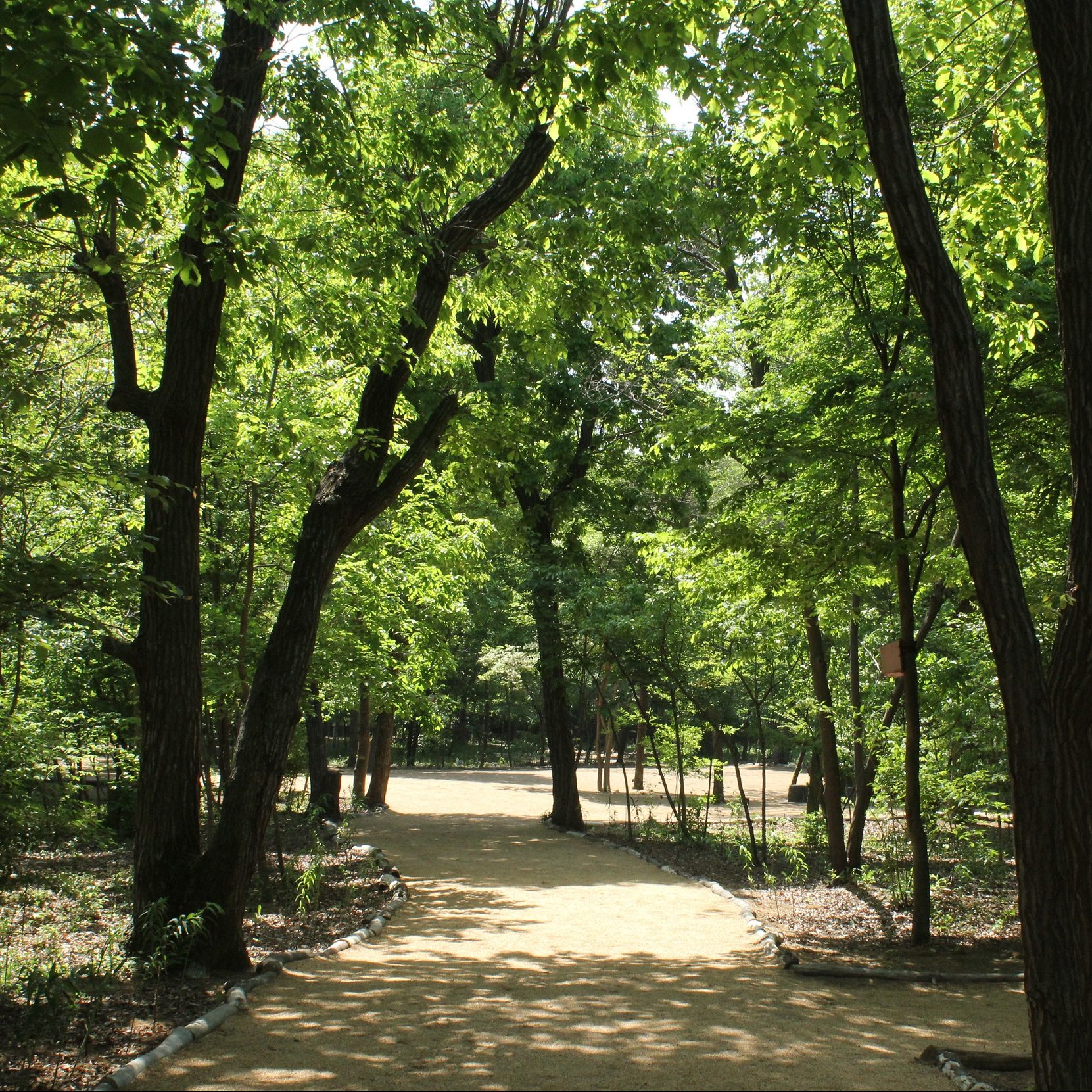 当社専務が里山の魅力をラジオでお伝えします！