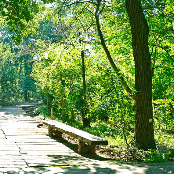 第17回　企業フィランソロピー大賞「里山イノベーション賞」受賞