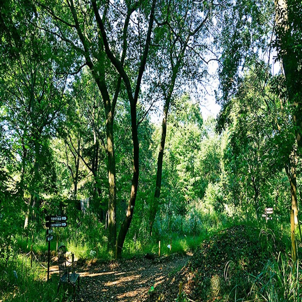 2019年度「森の保全活動費」報告